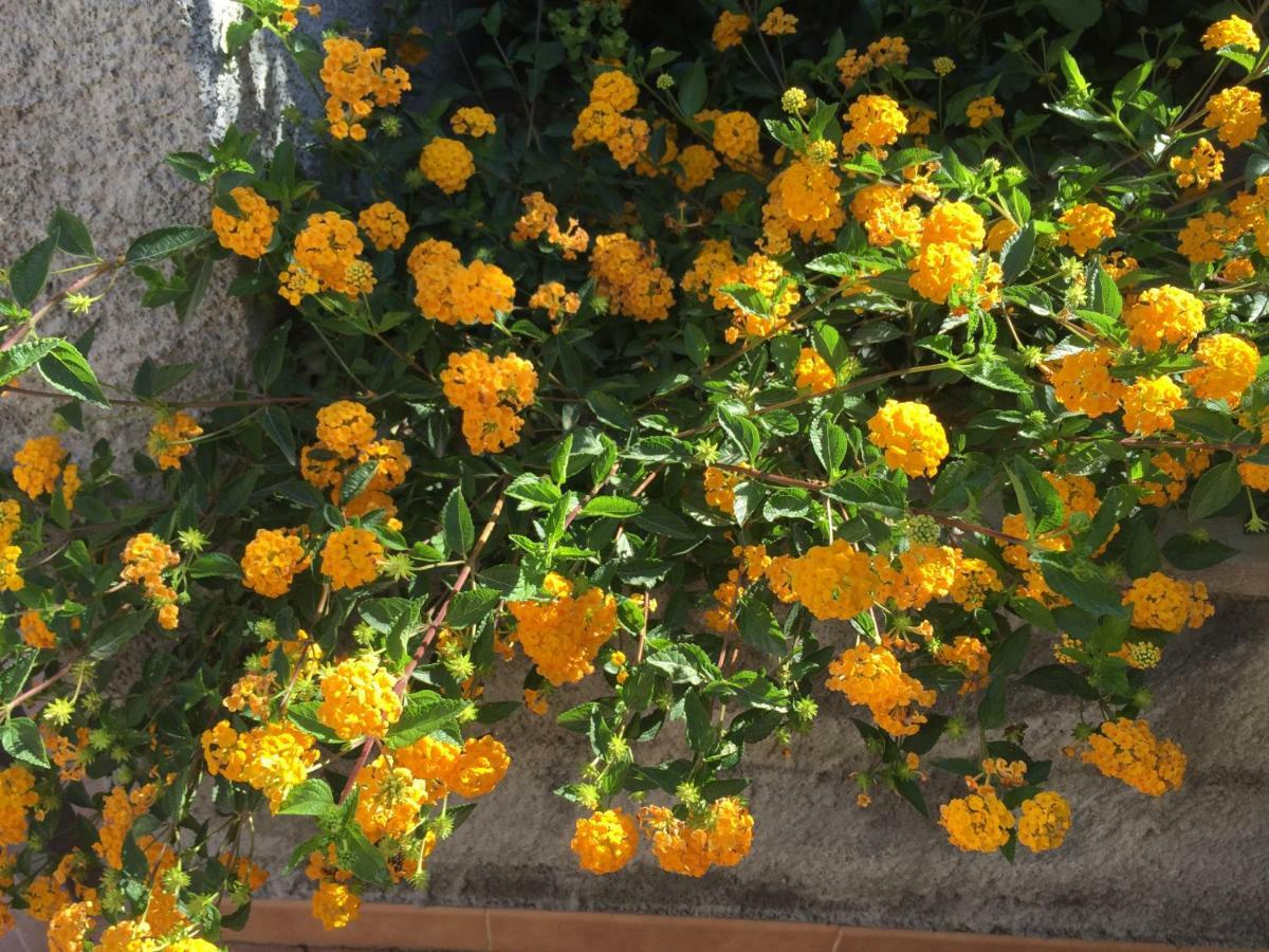 Mastrissa Country House Apartment Taormina Luaran gambar
